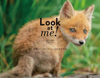 画像をギャラリービューアに読み込む, #井上 浩輝 著 #Look at me! 動物たちと目が合 イノウエヒロキ :9784040659480