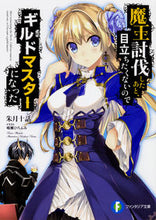 画像をギャラリービューアに読み込む, #朱月 十話 著 #魔王討伐したあと、目立ちたくないのでギル アカツキトウワ :9784040723365