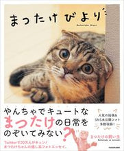 画像をギャラリービューアに読み込む, #まつたけの飼い主 著 #まつたけびより マツタケノカイヌシ :9784046054845