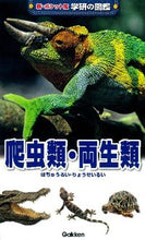 画像をギャラリービューアに読み込む, #爬虫類・両生類 :9784052036828