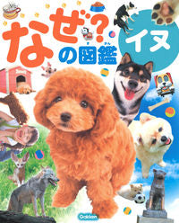 #GakkenPlus #Why?PictureBookDogs
