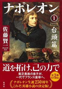 #SatoKenichi #NapoleonITheRise