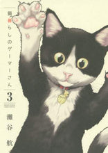 Load image into Gallery viewer, 灘谷航 / 猫暮らしのゲーマーさん3