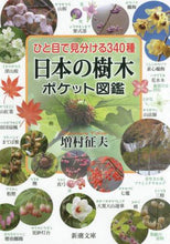 Load image into Gallery viewer, #増村 征夫 著 #日本の樹木ポケット図鑑 マスムラユクオ | Masumura Yukuo Pocket encyclopedia of Japanese trees :9784101061252