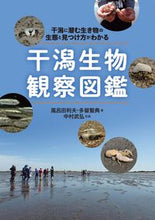 画像をギャラリービューアに読み込む, #風呂田 利夫 著 #干潟生物観察図鑑 フロタトシオ :9784416516164