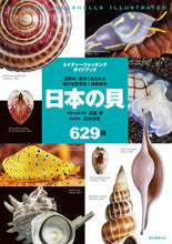 画像をギャラリービューアに読み込む, #高重博 #日本の貝