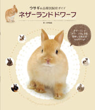 画像をギャラリービューアに読み込む, #大野 瑞絵 #ネザーランドドワーフ オオノミズエ :9784416613030