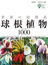 画像をギャラリービューアに読み込む, #椎野 昌宏 編著 #世界の原種系球根植物1000 シイノマサヒロ :9784416614112