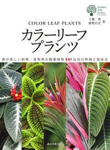 画像をギャラリービューアに読み込む, #土橋 豊 著 #カラーリーフプランツ ツチハシユタカ :9784416615775