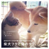 Load image into Gallery viewer, #ChieMatsuda #ShibaInuFukuAndCatTara.