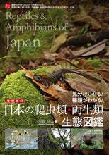Load image into Gallery viewer, #川添 宣広 著 #日本の爬虫類・両生類生態図鑑 増補改訂 カワゾエノブヒロ :9784416620106