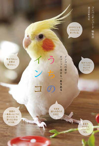 #コンパニオンバード #うちのインコ