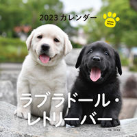 Load image into Gallery viewer, #Toshihiko Igawa Photography #Calendar '23 Labrador Retriever