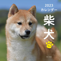 Load image into Gallery viewer, #ToshihikoIgawaPhoto #Calendar’23ShibaInu
