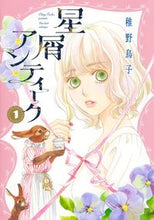 画像をギャラリービューアに読み込む, #稚野鳥子 #星屑アンティーク1