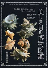 Load image into Gallery viewer, #HiroshiIkedaCollection #BeautifulShellEncyclopediaOfNaturalHistoryColors, patterns, and shapes