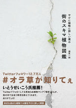 画像をギャラリービューアに読み込む, #瀬尾 一樹 著 #やけに植物に詳しい僕の街のスキマ植物図鑑 セオカズキ :9784479393597