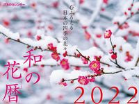画像をギャラリービューアに読み込む, #カレンダー ’22 和の花暦 :9784533146466