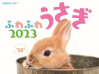 画像をギャラリービューアに読み込む, #JTBパブリッ #カレンダー’23ふわふわうさぎ