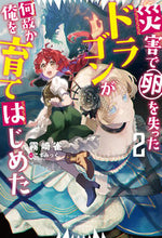 画像をギャラリービューアに読み込む, #霧崎 雀 著 #災害で卵を失ったドラゴンが何故か俺を 2 キリサキスズメ :9784575245264