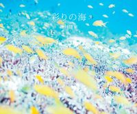 #鍵井 靖章 著 #彩りの海 カギイヤスアキ :9784756246219