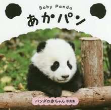 Load image into Gallery viewer, PIE International / Baby Panda Aka-Pan