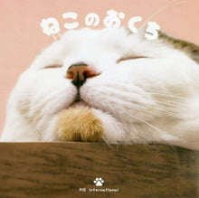 画像をギャラリービューアに読み込む, パイインターナ / ねこのおくち