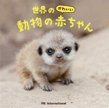 画像をギャラリービューアに読み込む, パイインターナ / 世界のかわいい動物の赤ちゃん
