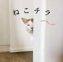 画像をギャラリービューアに読み込む, パイインターナ / ねこチラ