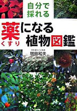 画像をギャラリービューアに読み込む, #増田 和夫 #自分で採れる 薬になる植物図鑑 : マスダカズオ : Illustrated guide to medicinal plants that you can collect yourself : Masuda Casio : 9784760129973