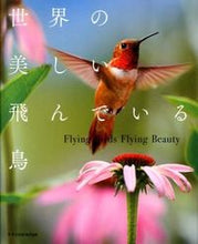 画像をギャラリービューアに読み込む, #世界の美しい飛んでいる鳥 :9784767817026