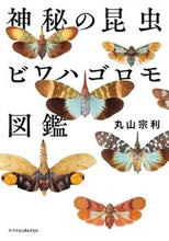 Load image into Gallery viewer, #MunenoriMaruyama #Biwahagoromo:TheMysteriousLanternfly