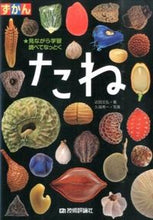 Load image into Gallery viewer, #近田 文弘 著 #ずかん たね コンタフミヒロ :9784774165653