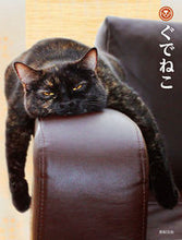Load image into Gallery viewer, #ぐでねこ :9784775314487