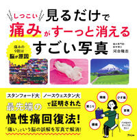 #見るだけでしつこい痛みがすーっと消えるす :9784776211303