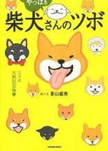 画像をギャラリービューアに読み込む, #影山直美絵と文 #やっぱり柴犬さんのツボじつは天然記念物