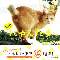 Load image into Gallery viewer, #RumikoYoshizawaPhotos #23LuckyCatCalendar