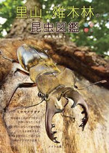 Load image into Gallery viewer, #今井 初太郎 著 #里山・雑木林の昆虫図鑑 イマイハツタロウ :9784780420166