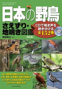 #植田 睦之 監修 #日本の野鳥さえずり・地鳴き図鑑 改訂版 ウエタムツユキ :9784780420227