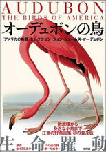 Load image into Gallery viewer, #J. J. Audubon #Audubon's Birds "Birds of America" Selection