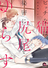 画像をギャラリービューアに読み込む, #ビッチな猫は秘密に尻尾をゆらす :9784796414241
