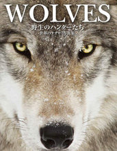 画像をギャラリービューアに読み込む, #T.ジャクソン 著 #WOLVES 野生のハンターたち トムジヤクソン :9784798626888