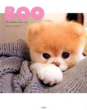 画像をギャラリービューアに読み込む, #BOO :9784800231628