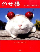画像をギャラリービューアに読み込む, #SHIRONEKO #のせ猫 かご猫シロと家族の毎日 シロネコSHIRONEKO :9784800246905