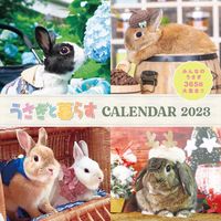 画像をギャラリービューアに読み込む, #’23 うさぎと暮らすCALENDER :9784802193566