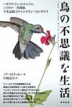 画像をギャラリービューアに読み込む, #N.ストリッカー #鳥の不思議な生活ハチドリのジェットエン