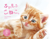 画像をギャラリービューアに読み込む, #’22 ふわもふこねこ。CALENDAR :9784815570187