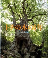 #Photography and Text by Takeshi Ota #A Year in the Life of a Horse Chestnut Tree