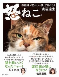 #TatsuoWatanabe #AngryCat