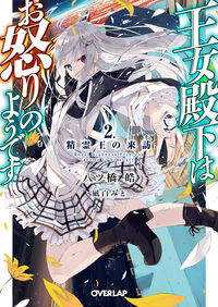 #八ツ橋 皓 著 #王女殿下はお怒りのようです 2 ヤツハシコウ | Yatsuhashikou Her Royal Highness the Princess seems angry 2 :9784865544749